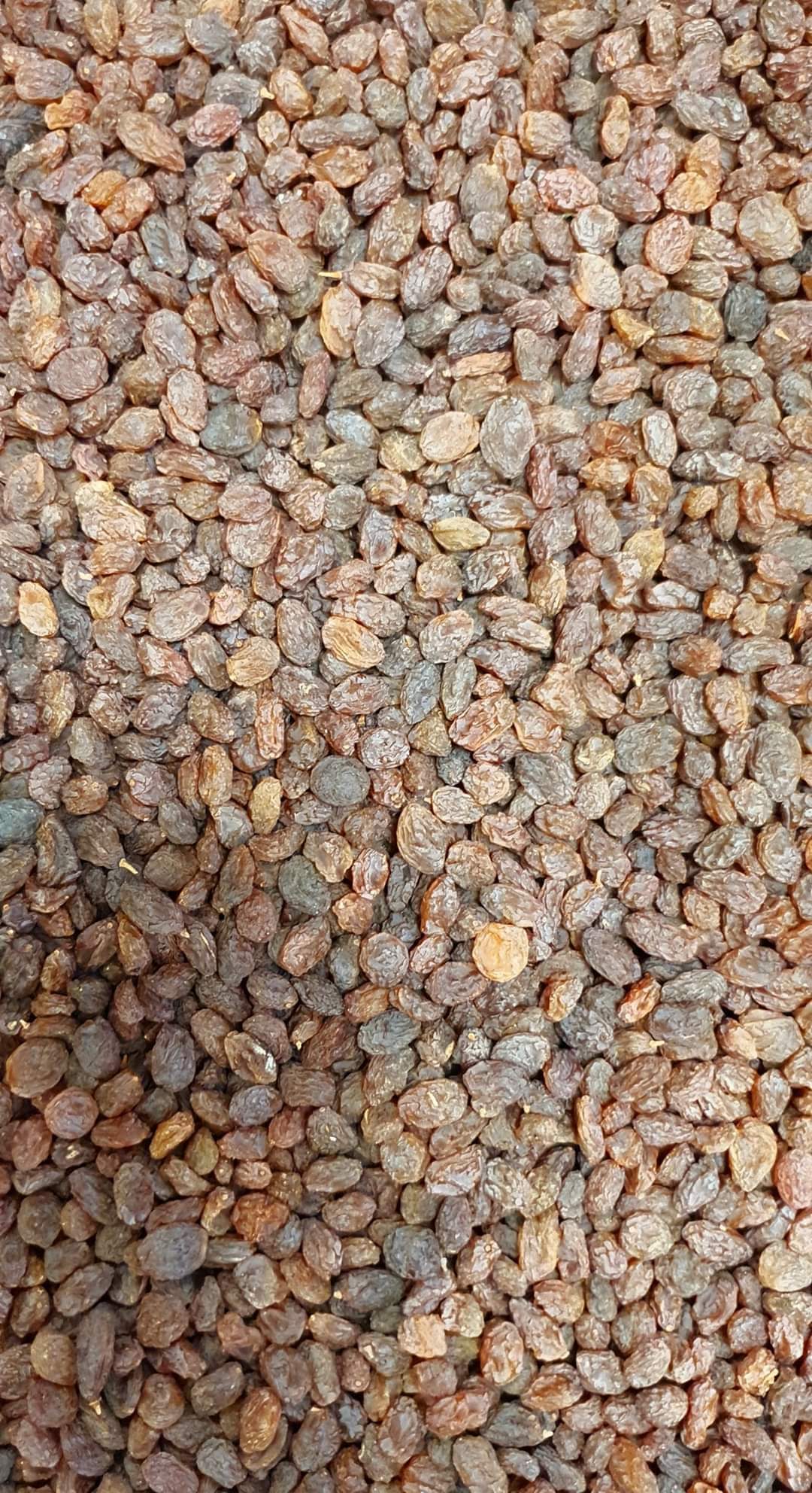 Dried Afghan red Raisins