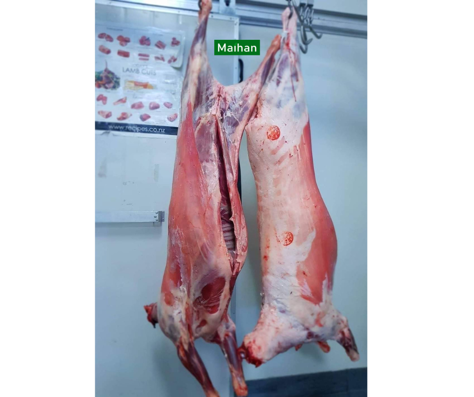 Fresh Whole Hogget(Lamb) carcass $8.99kg