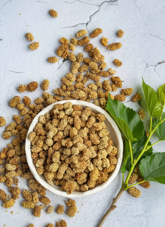 white mulberry sun dried