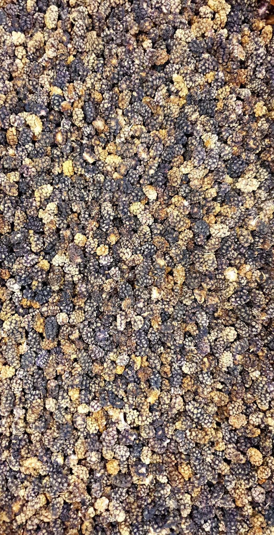 Dried Black Mulberry